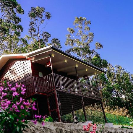 Wild Orchid Eco Tourism Munnar Exterior photo