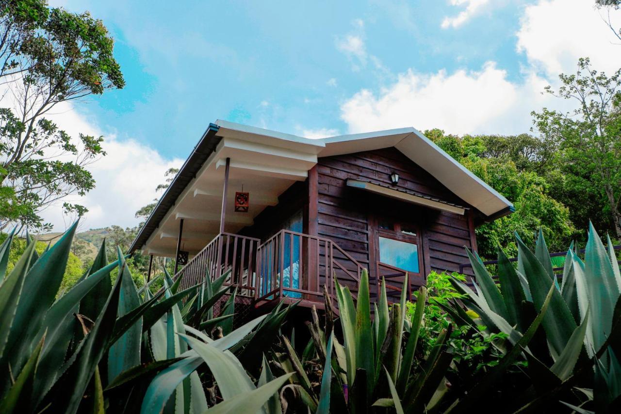 Wild Orchid Eco Tourism Munnar Exterior photo